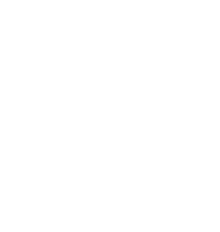 PI Group